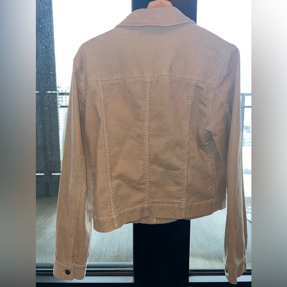 Corduroy jacket - Picture 2 of 3